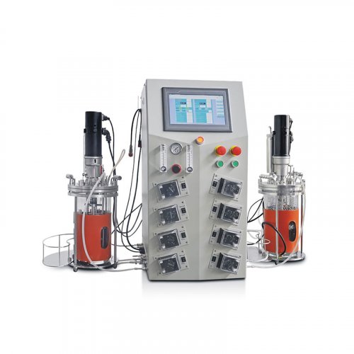 Biorreactor de doble Unión de escritorio
