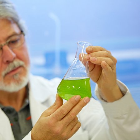 Cultivo de células vegetales