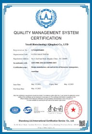 ISO9001