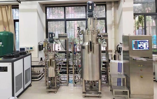 Case of Fermenters for Yeast and E. coli Culture