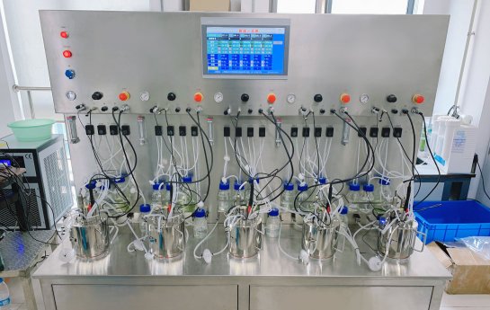 Estrategia de optimización y última aplicación del reactor biológico vegetal