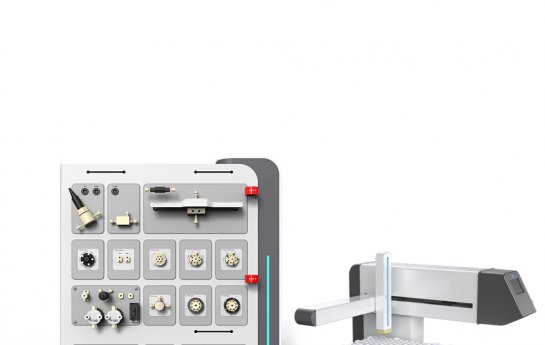 Aislamiento y purificación de la proteína recombinante GFP