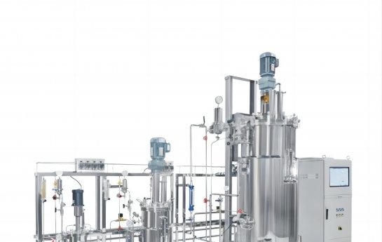 Aplicaciones y perspectivas de la biosíntesis